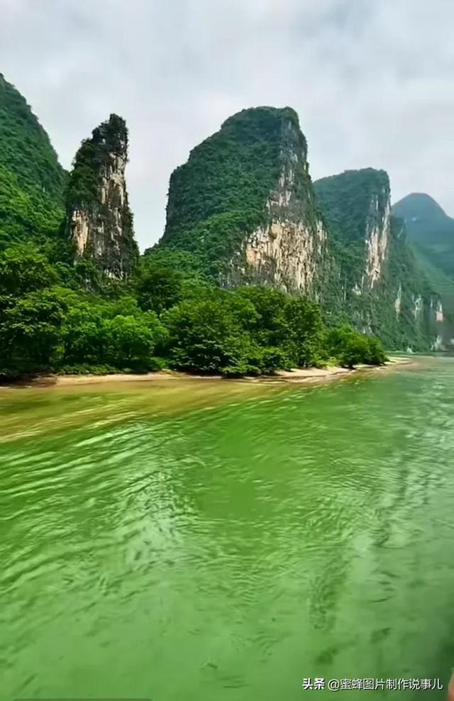 解惑小蜗牛-